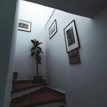 Casina Carina - Intero Indipendente Alatri