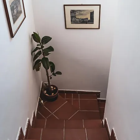 Casina Carina - Intero Indipendente