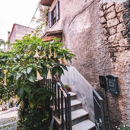 Casina Carina - Intero Indipendente Apartment *